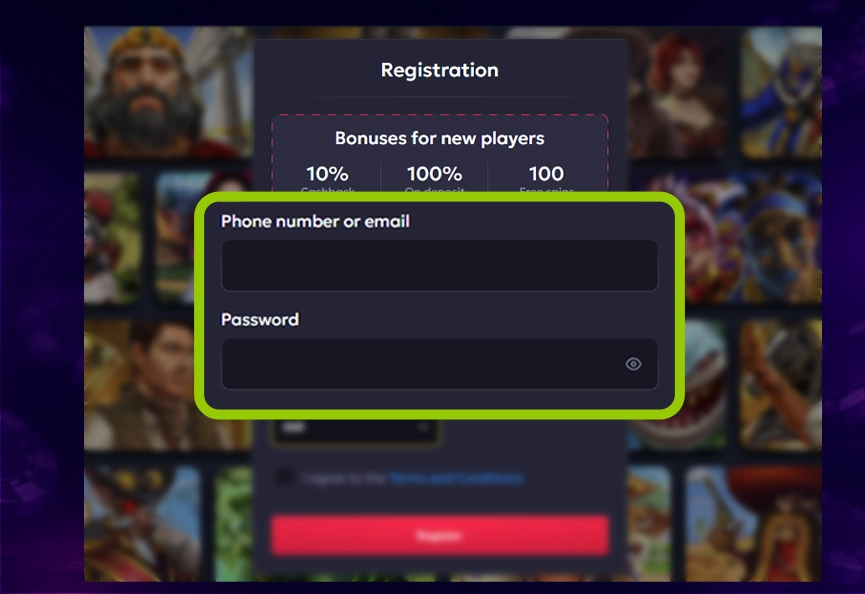 Enter required details in Vavada registration form